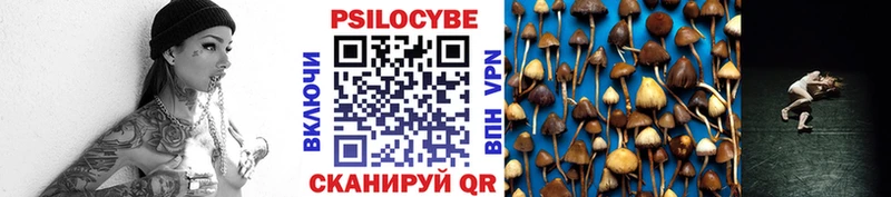 Псилоцибиновые грибы Psilocybine cubensis  купить  цена  Новочеркасск 